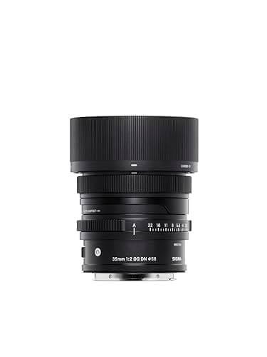 Sigma Sigma 35mm F2 DG DN