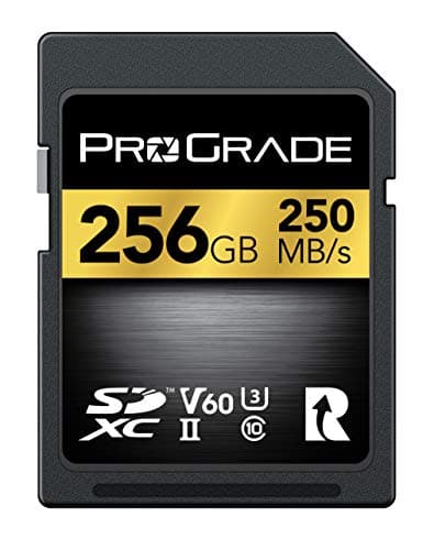 ProGrade Digital ProGrade Digital SDXC (V60)