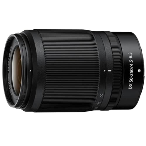 The Best Telephoto Lenses for Beginners