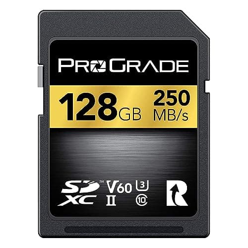 ProGrade Digital ProGrade Digital SDXC (V60)