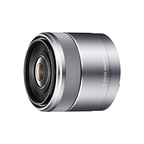 The Best Macro Lenses for Beginners